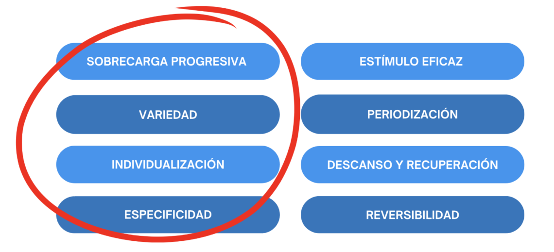 Infografía con una tabla con los elementos: Sobrecarga progresiva, Variedad, Individualización, Estímulo eficaz, Periodización, Descanso y recuperación y Reversibilidad.