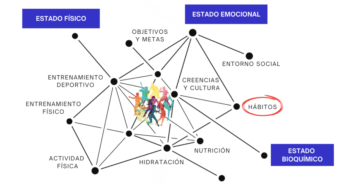 Infografía con el esquema del sistema inmune: Estado físico, Estado emocional, Estado bioquímico.