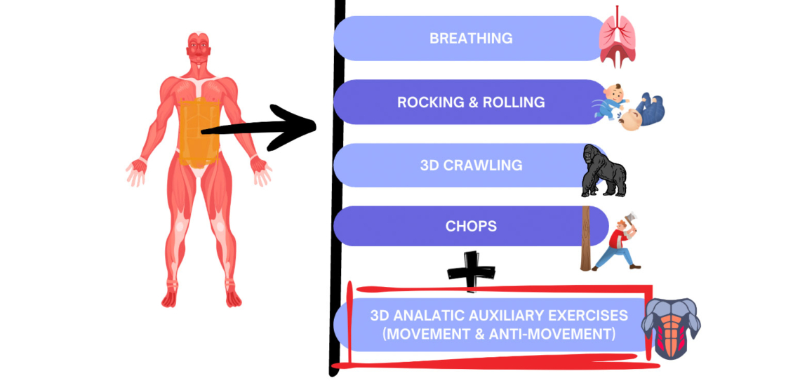 Infografía con cinco pasos: Breathing, Rocking and rolling, 3D crawling, Chops y 3D analytic auxiliary exercises.