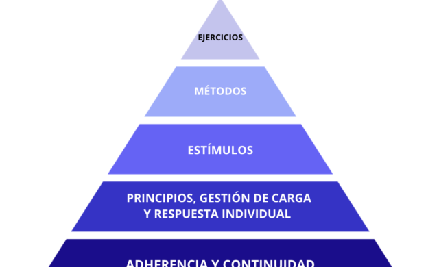 Pirámide con cualidades del entrenamiento puestas en orden de mayor a menor importancia