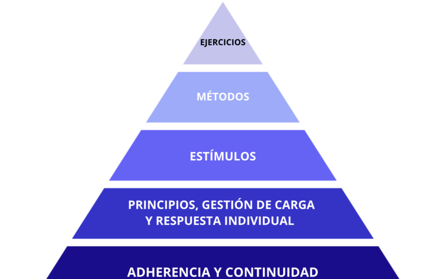 Pirámide con cualidades del entrenamiento puestas en orden de mayor a menor importancia