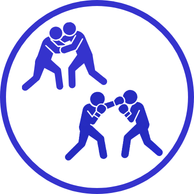 Combat sports